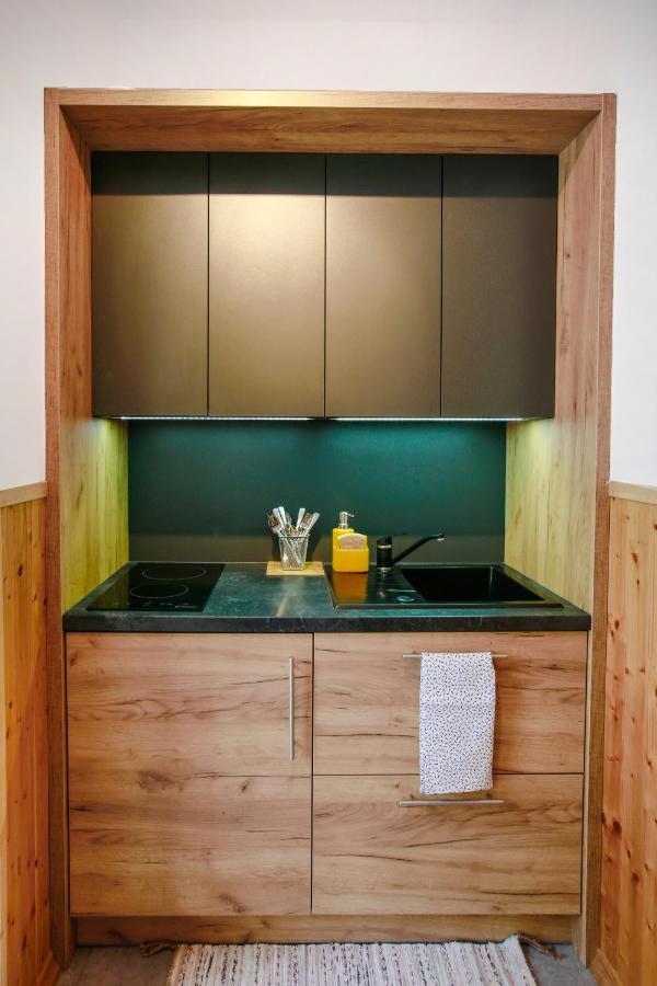 Apartament z ogrodem w centrum Limanowej Limanowa Zewnętrze zdjęcie